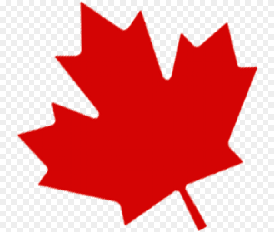 Canada Leaf Images Transparent Canadian Maple Leaf Transparent Background, Maple Leaf, Plant Free Png