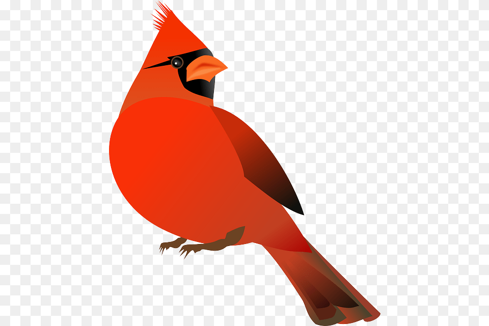 Free Cardinal Clipart Cardinal Bird Clipart, Animal, Fish, Sea Life, Shark Png Image