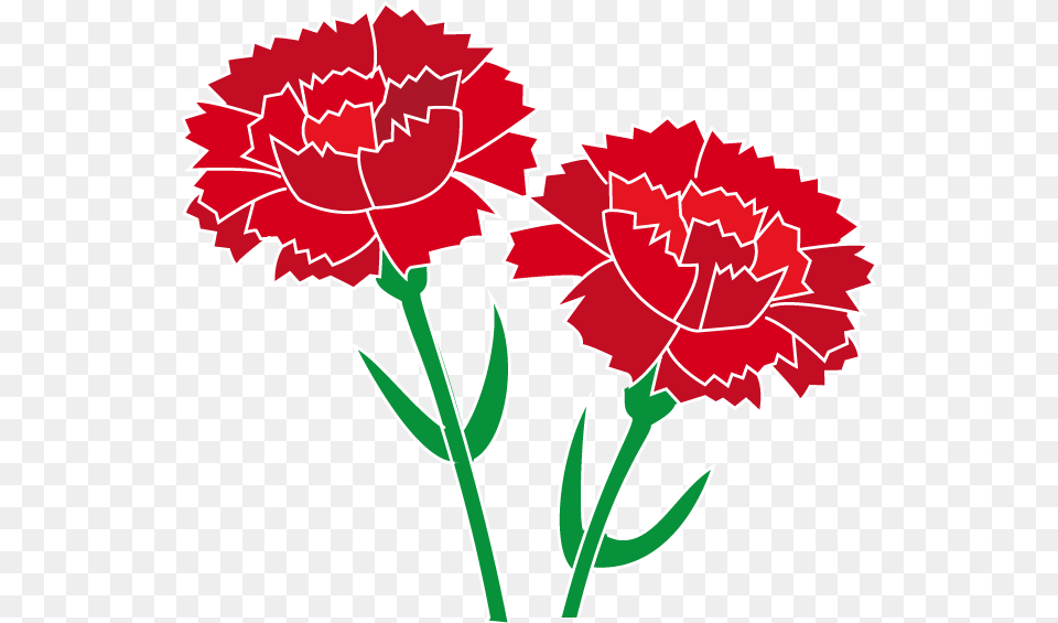 Carnation Flower Cliparts Download Clip Art Red Carnation Clip Art, Plant, Dynamite, Weapon Free Png