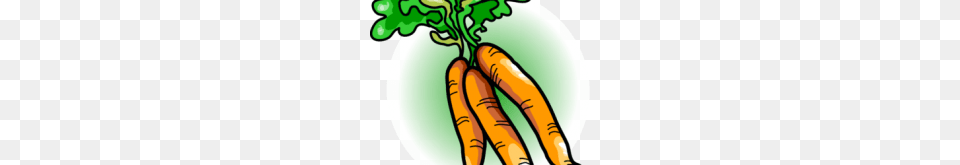 Carrot Clipart Clip Art, Food, Plant, Produce, Vegetable Free Transparent Png