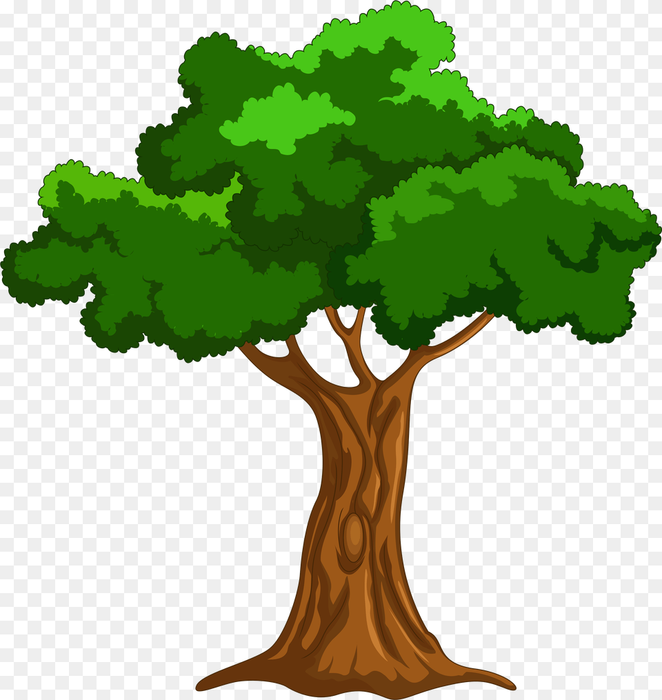 Cartoon Trees Download Clipart Tree, Plant, Vegetation, Symbol, Cross Free Png