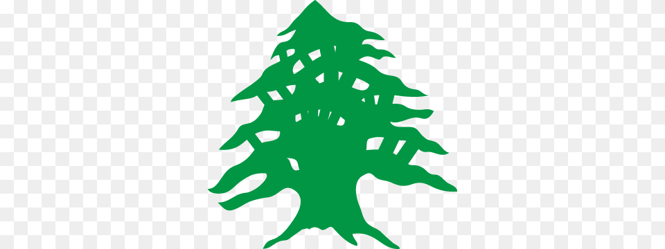 Free Cedar Tree Drawing, Person, Leaf, Nature, Outdoors Png Image