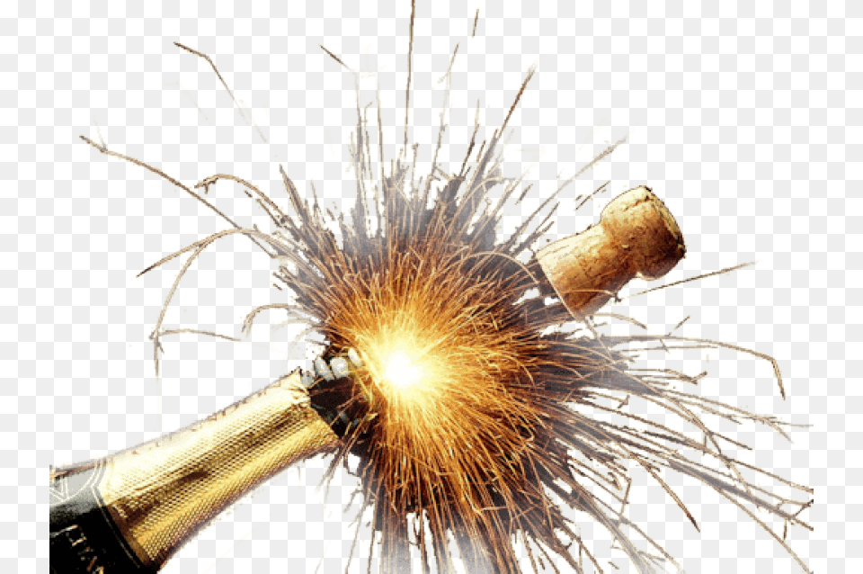 Champagne Explosion Transparent Champagne, Plant, Fireworks Free Png Download