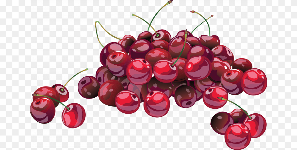 Free Cherries, Cherry, Food, Fruit, Plant Png Image