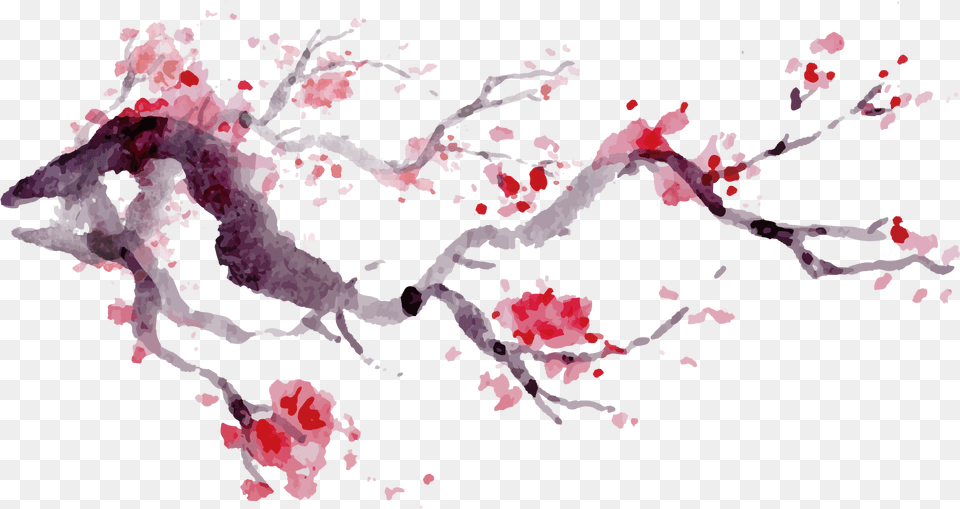 Cherry Blossom Watercolor Japanese, Flower, Plant, Cherry Blossom, Food Free Png Download