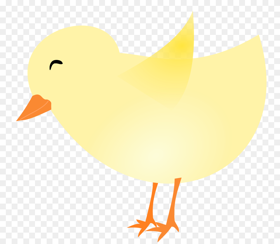 Chicken Clip Art, Animal, Bird, Person Free Png