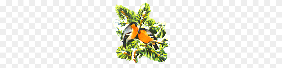Christmas Clip Art, Animal, Bird, Plant, Tree Free Png
