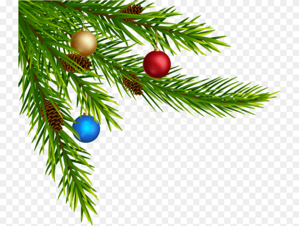 Christmas Decorative Corner Corner Christmas Decoration, Tree, Conifer, Plant, Produce Free Png Download