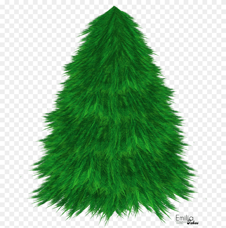 Christmas Tree Illustration Christmas Tree, Green, Plant, Fir, Pine Free Png