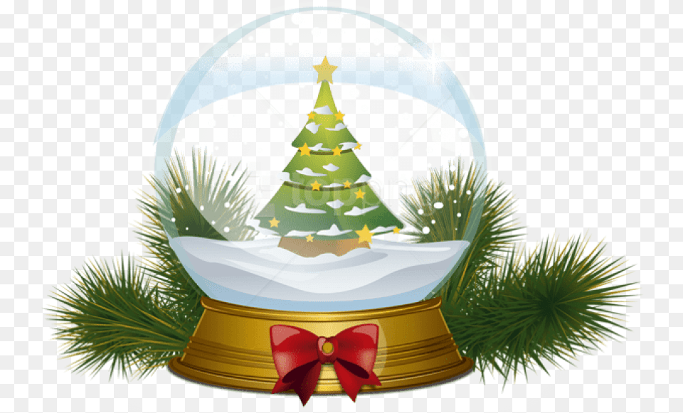Christmas Tree Snowglobe Christmas Snow Globe, Plant, Christmas Decorations, Festival, Christmas Tree Free Transparent Png