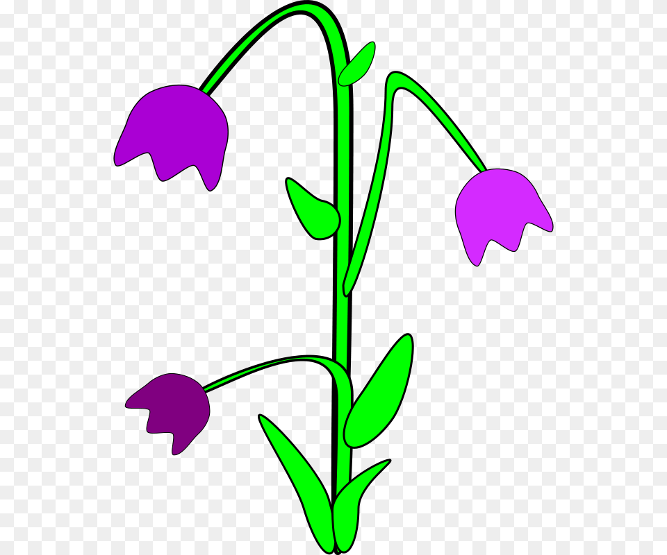 Clip Art Bell Flower, Petal, Plant Free Transparent Png