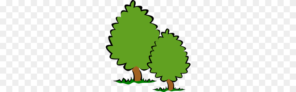 Free Clip Art Forest Trees, Green, Conifer, Tree, Plant Png Image