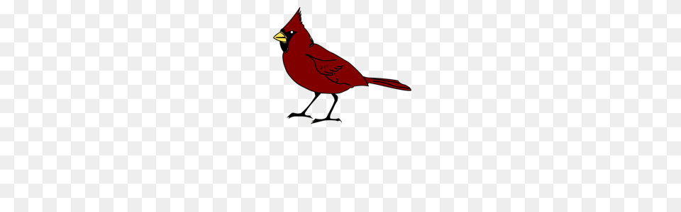Clip Art Line Drawing Bird, Animal, Cardinal Free Transparent Png