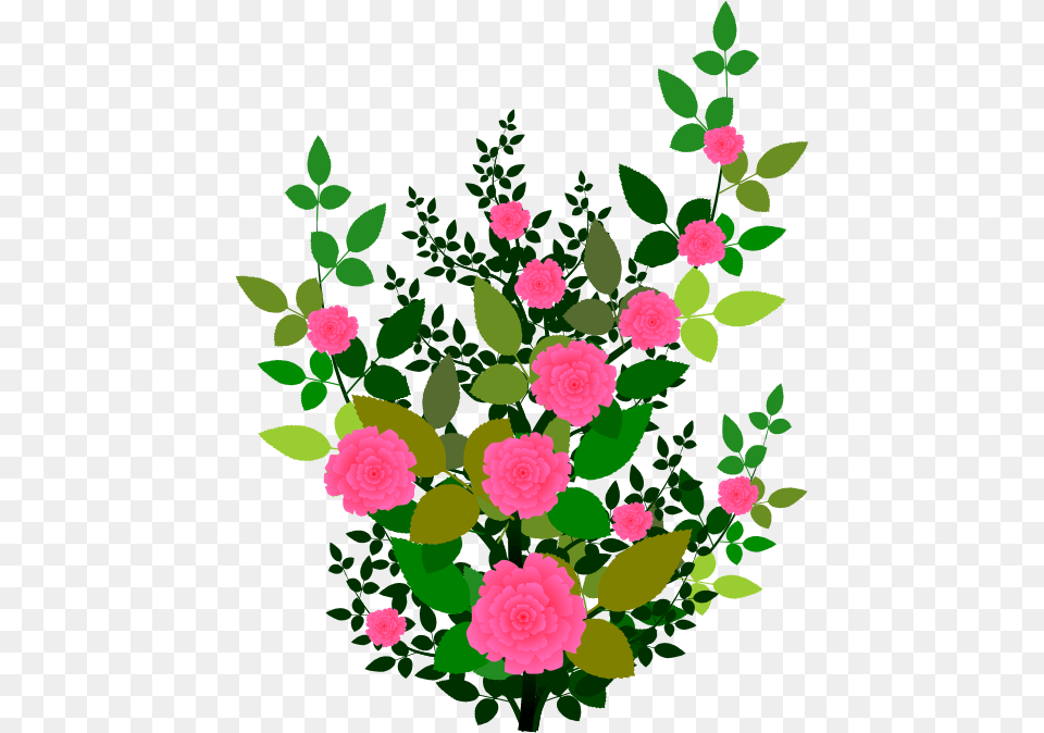 Clip Art Plant Clipart, Rose, Flower, Petal, Carnation Free Png Download