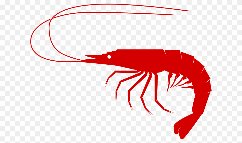 Free Clipart, Food, Seafood, Animal, Invertebrate Png Image