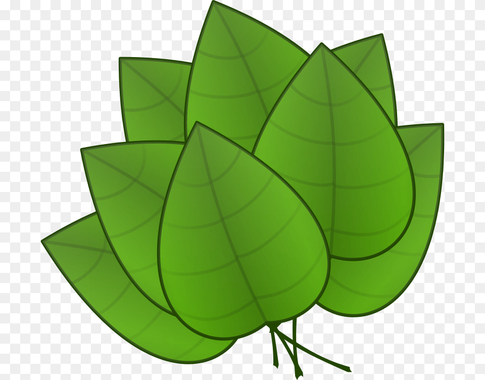 Clipart, Green, Leaf, Plant, Herbal Free Transparent Png