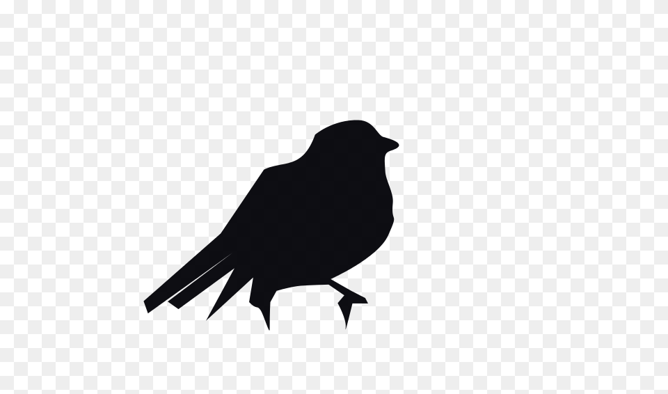 Clipart, Animal, Bird, Blackbird Free Png Download