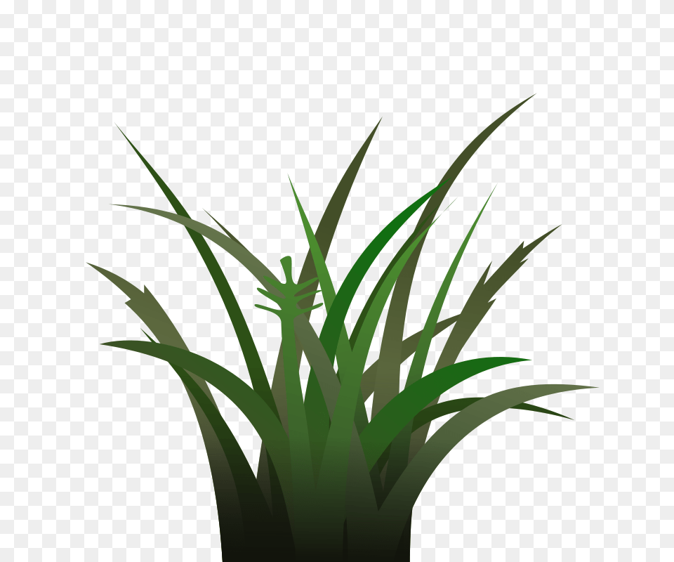 Clipart, Grass, Green, Plant, Leaf Free Png Download