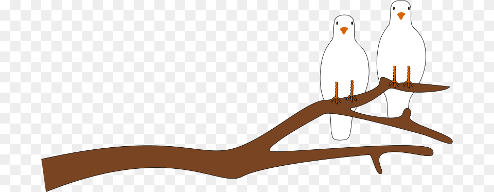 Clipart, Animal, Bird, Pigeon, Dove Free Png
