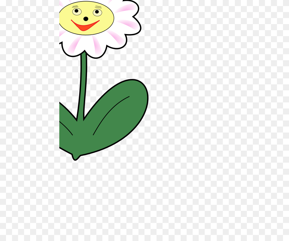 Clipart, Daisy, Flower, Plant, Petal Free Transparent Png