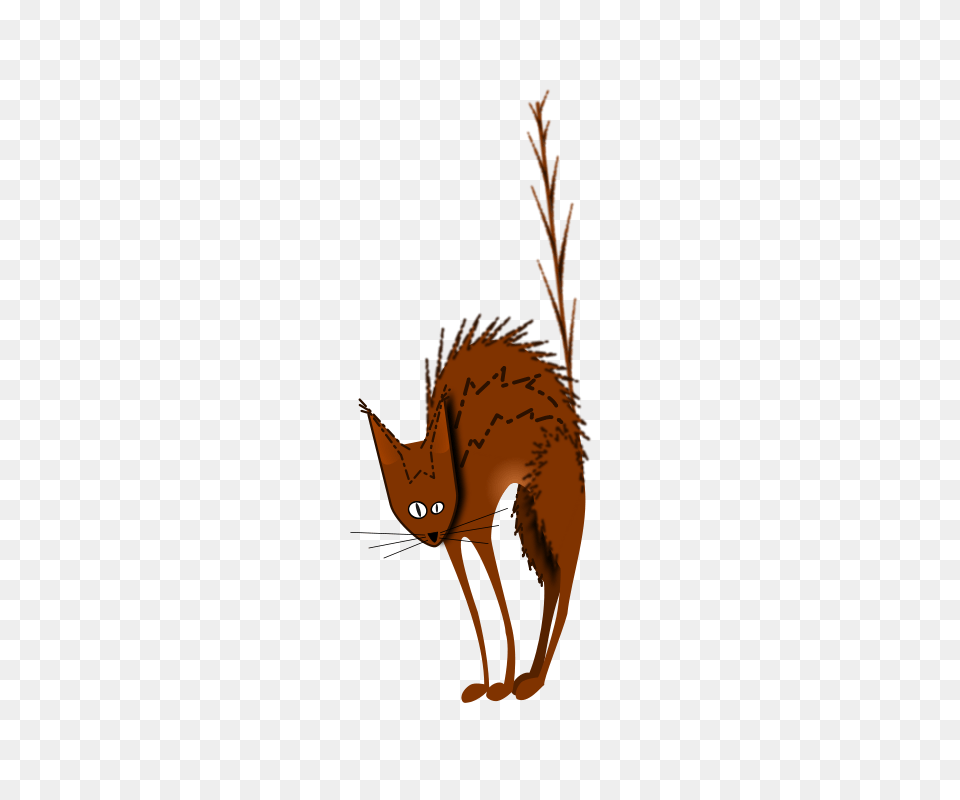 Free Clipart, Animal, Coyote, Mammal, Canine Png Image