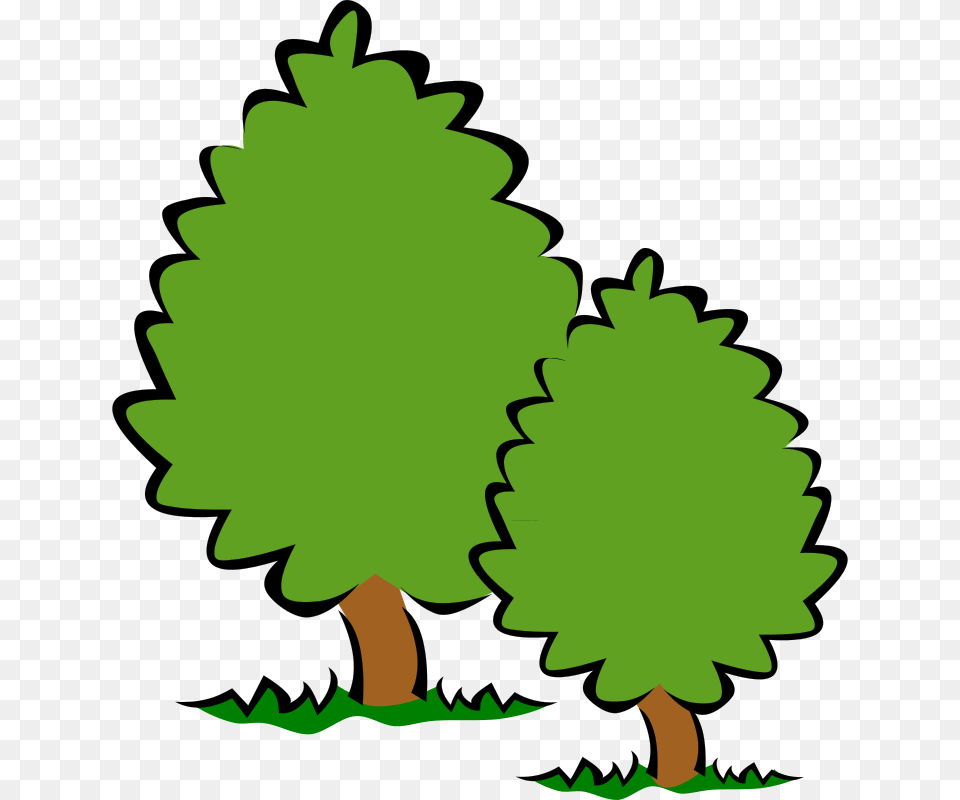 Free Clipart, Conifer, Green, Plant, Tree Png