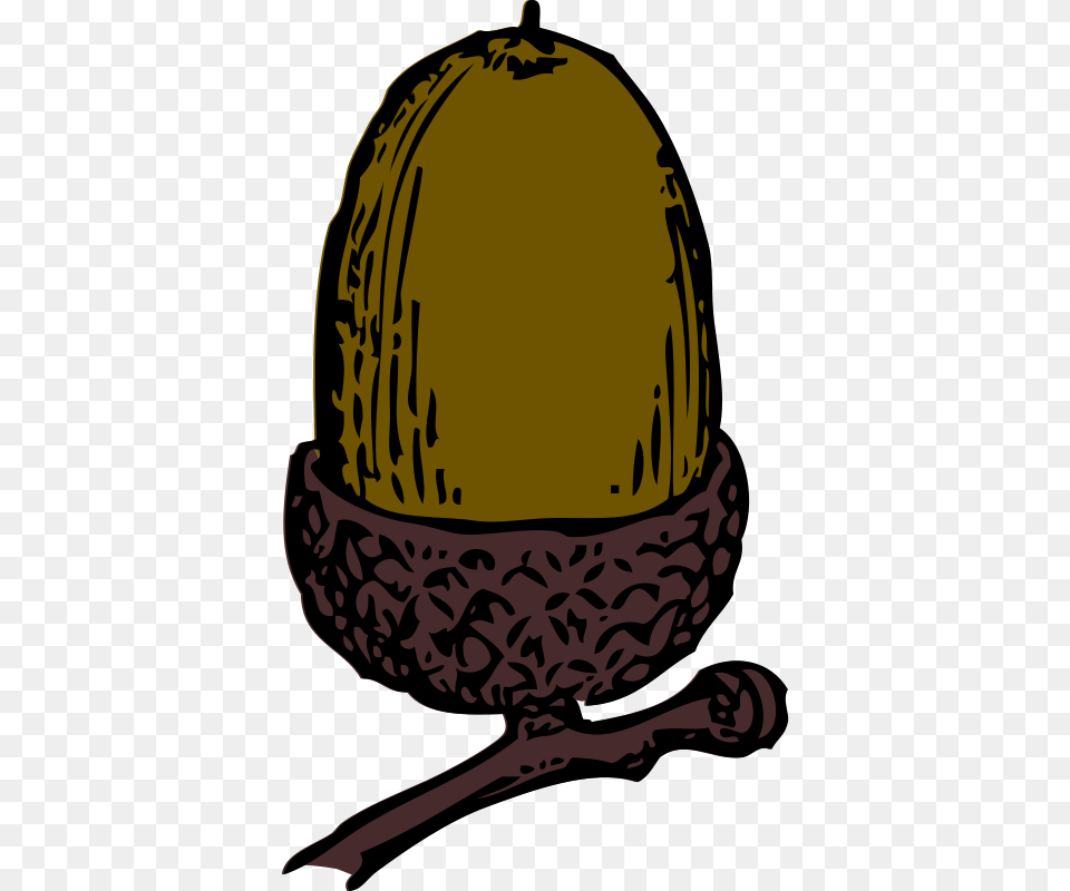 Free Clipart Acorn Johnny Automatic, Food, Nut, Plant, Produce Png