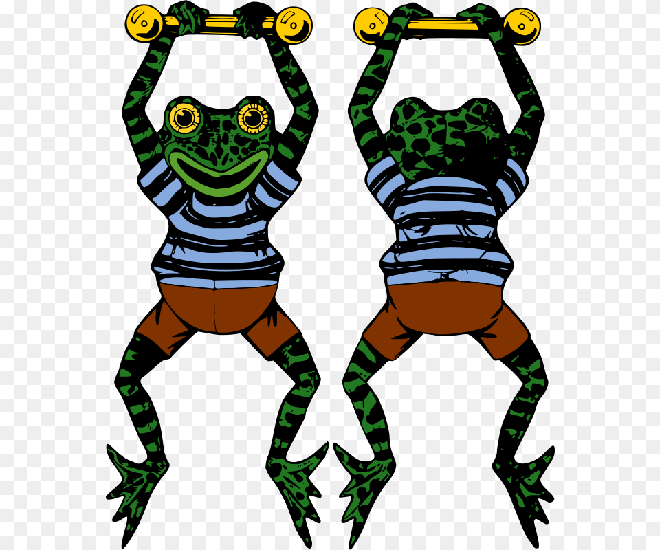 Clipart Acrobat Frog, Green, Baby, Person Free Png Download