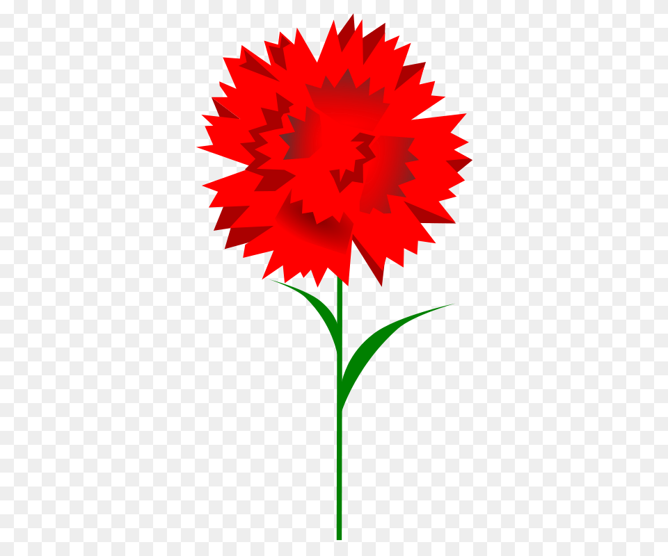 Free Clipart Carnation Worker, Flower, Leaf, Plant, Dahlia Png