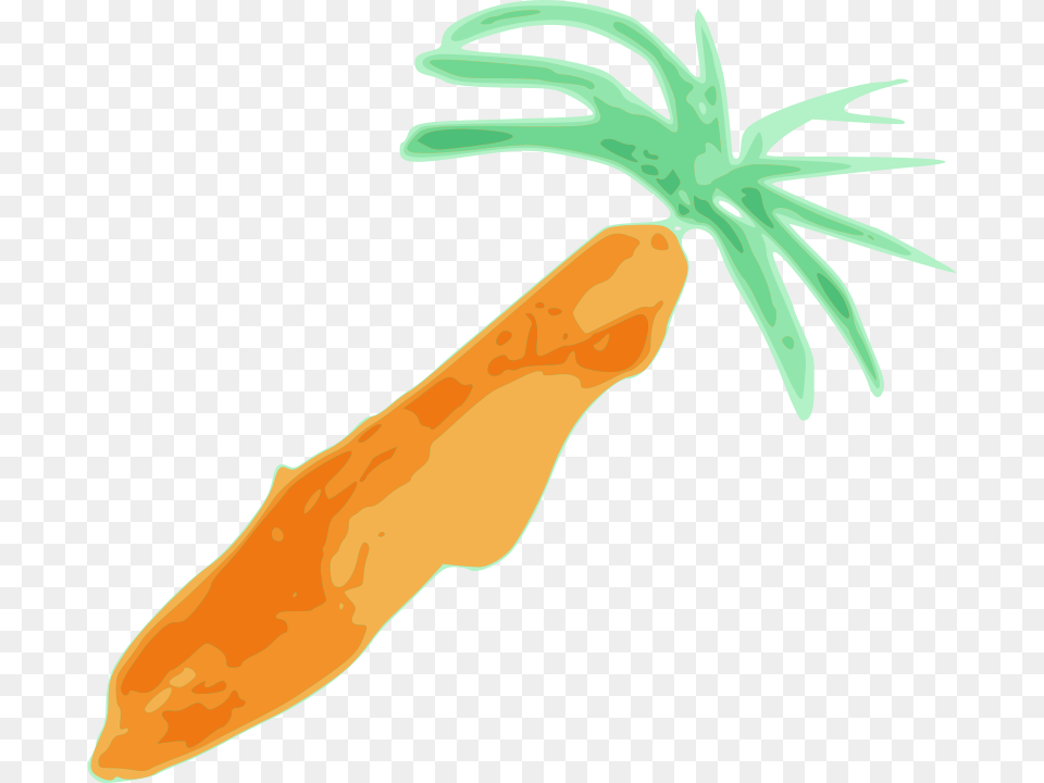 Free Clipart Carrot Jiangyi, Food, Plant, Produce, Vegetable Png
