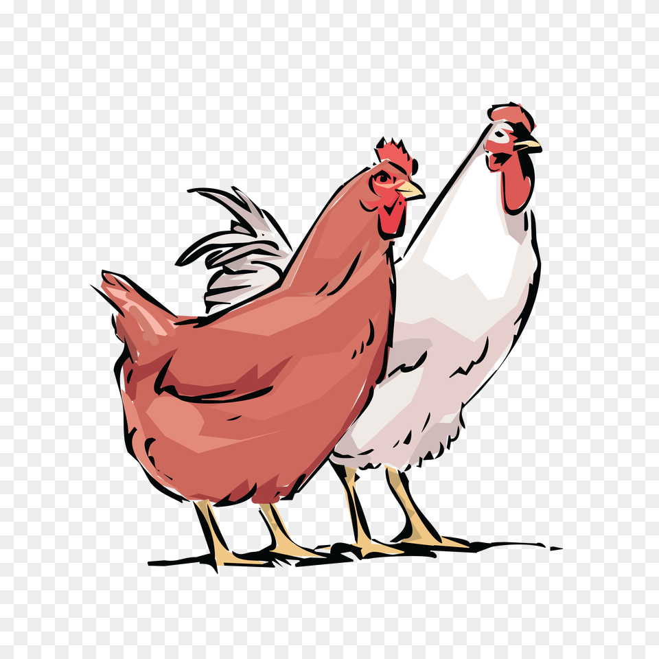 Clipart Cdr, Fowl, Animal, Bird, Poultry Free Png