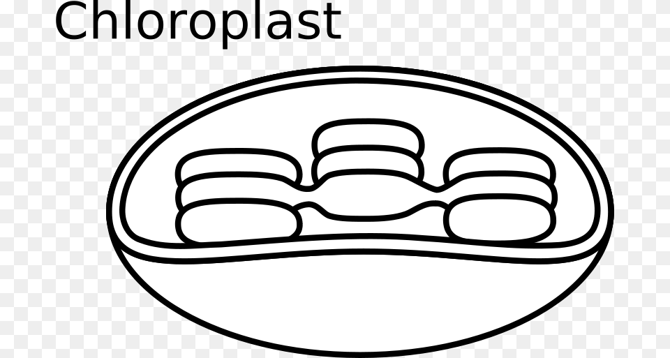 Clipart Chloroplast Torisan, Hot Tub, Logo, Tub Free Transparent Png