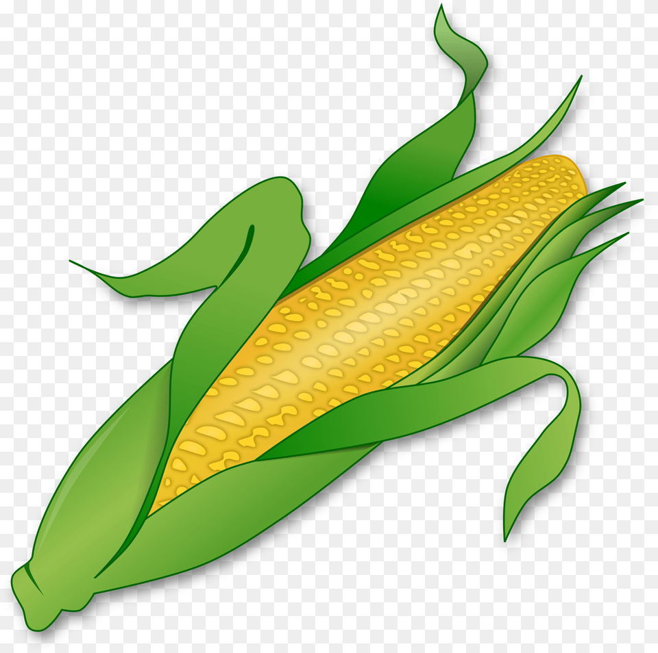 Clipart Corn, Food, Grain, Plant, Produce Free Png Download