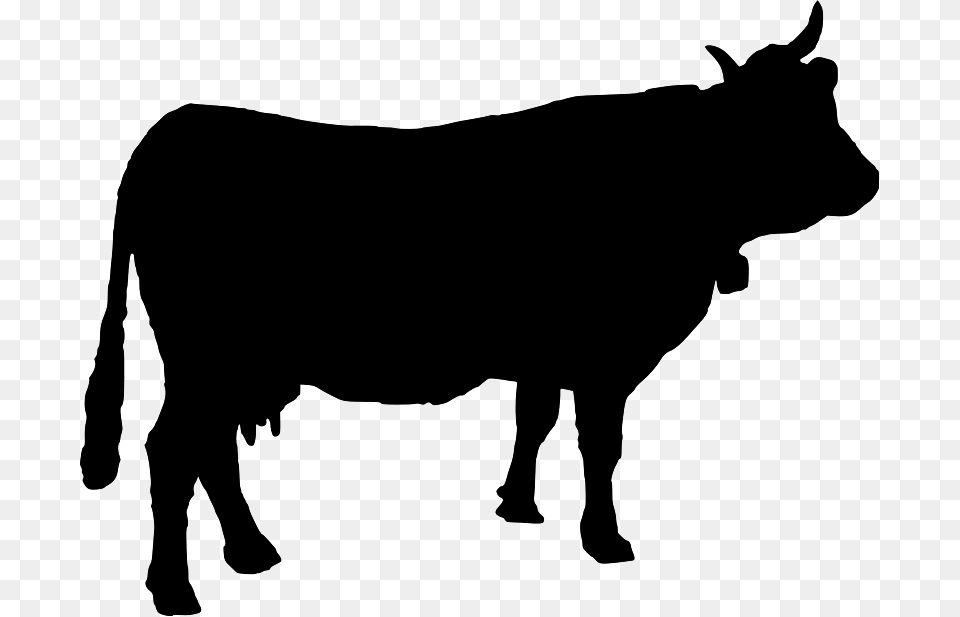 Free Clipart Cow Silhouette Macchiavelli, Gray Png