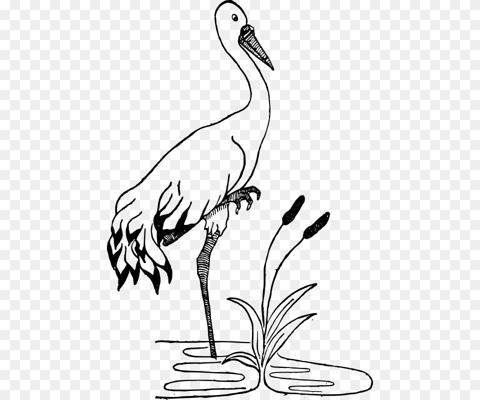 Clipart Crane In A Pond, Gray Free Png Download