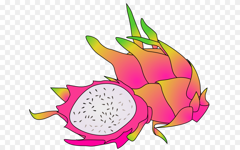 Free Clipart Dragon Fruit Ycteo, Food, Plant, Produce, Animal Png