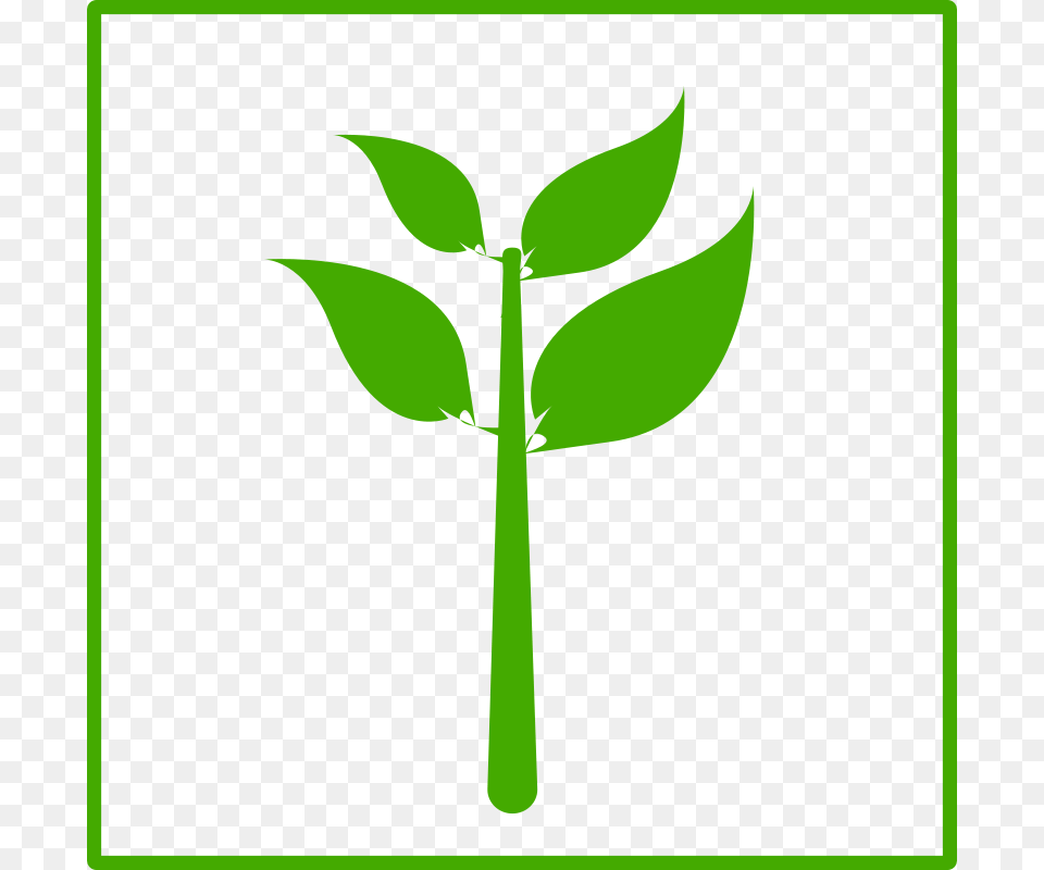 Clipart Eco Green Plant Icon Dominiquechappard, Herbal, Herbs, Leaf Free Png Download