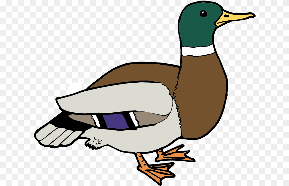 Free Clipart Free Clip Art Duck, Animal, Anseriformes, Bird, Waterfowl Png