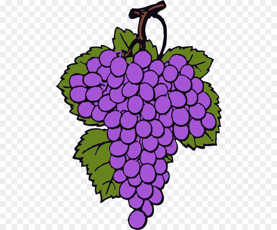 Free Clipart Grape Cluster Johnny Automatic, Food, Fruit, Grapes, Plant Png