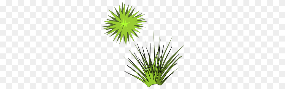 Clipart Green Grass, Art, Graphics, Light, Plant Free Png Download