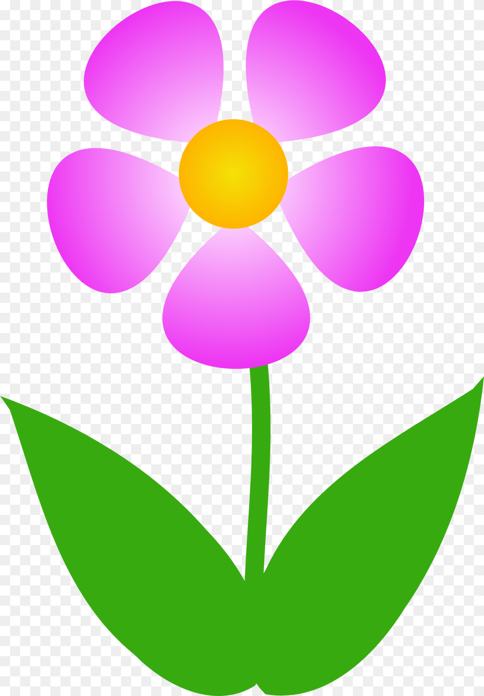Free Clipart Images Of Flowers Flower Flower, Anemone, Daisy, Petal, Plant Png Image