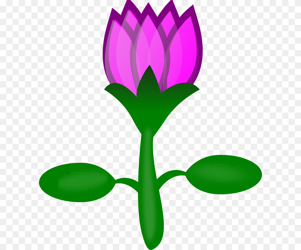 Clipart Lotus, Flower, Plant, Purple, Green Free Png Download