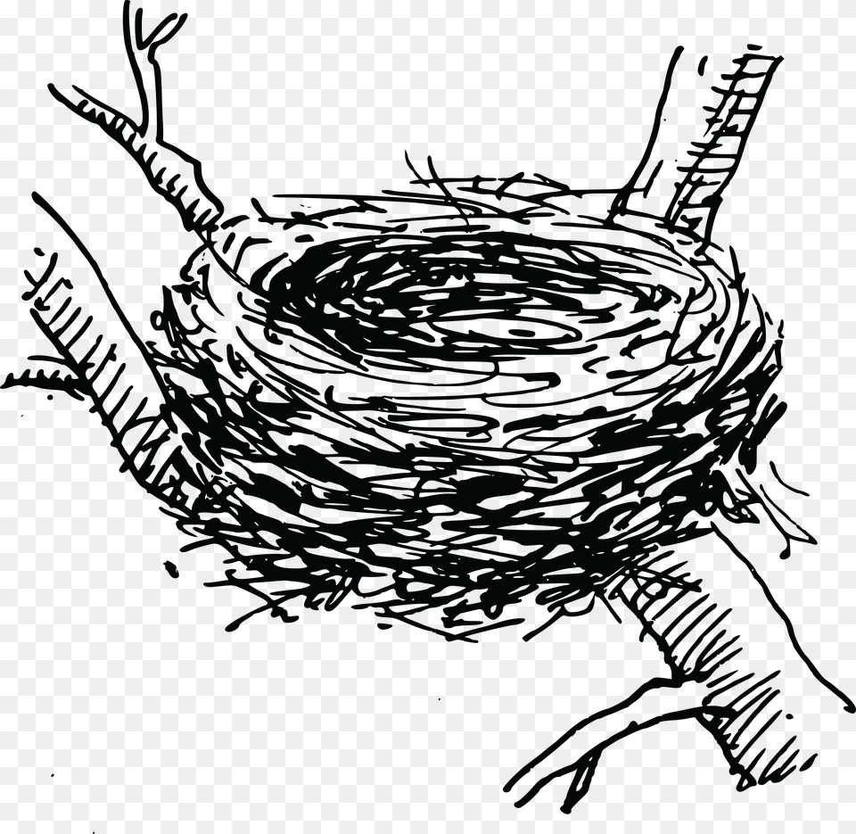 Free Clipart Of A Bird Nest Clip Art Bird Nest Png