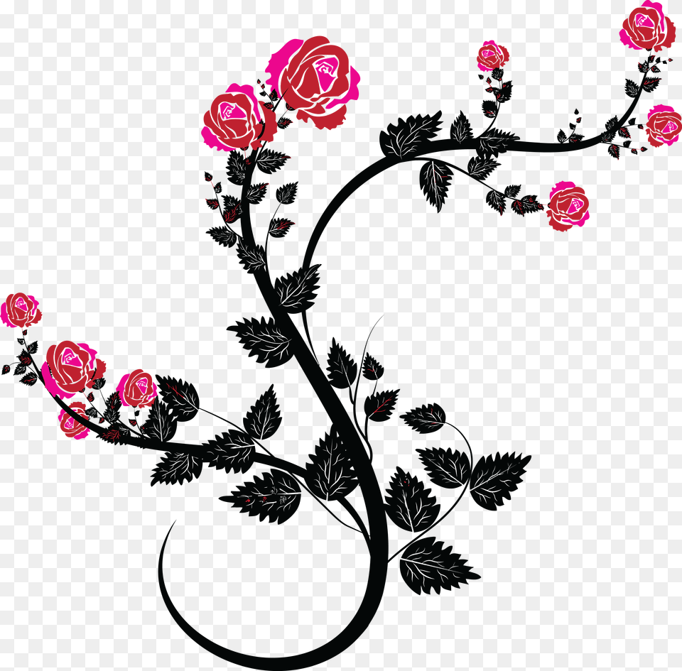 Clipart Of A Black And Pink Rose Design Rose Vine Transparent Clipart, Art, Floral Design, Flower, Graphics Free Png Download