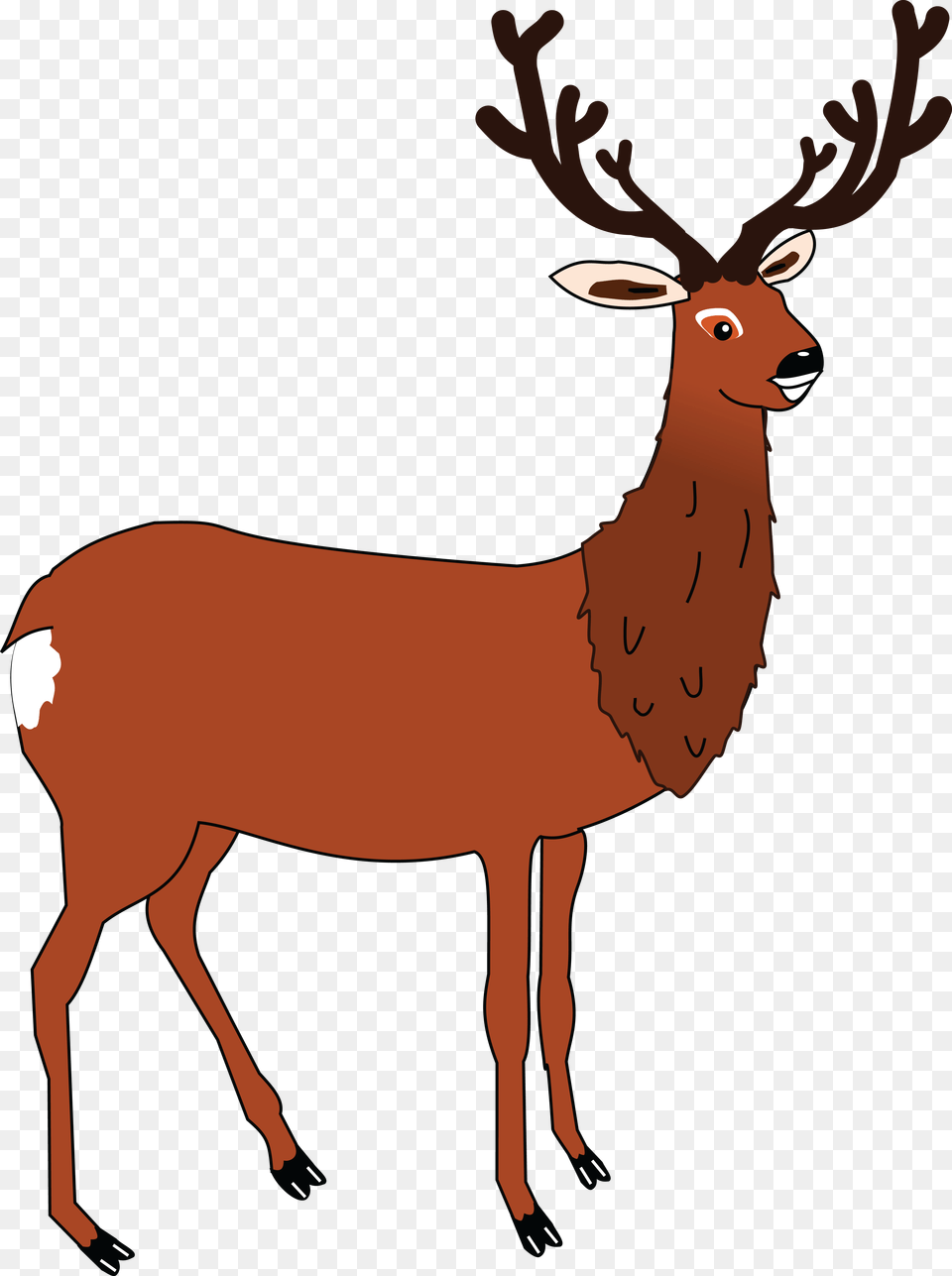 Clipart Of A Buck Deer, Animal, Wildlife, Elk, Mammal Free Transparent Png