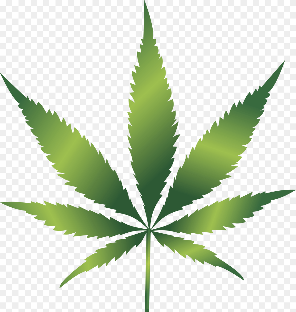 Clipart Of A Cannabis Leaf Cannabis Leaf Clip Art, Plant, Weed, Animal, Dinosaur Free Png Download