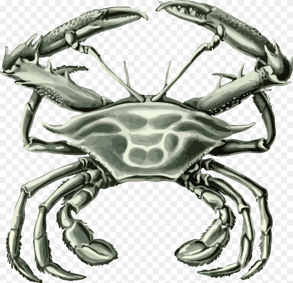 Free Clipart Of A Crab Art Print Funky39s Crabs On Black In 2 Panels, Food, Seafood, Animal, Invertebrate Png