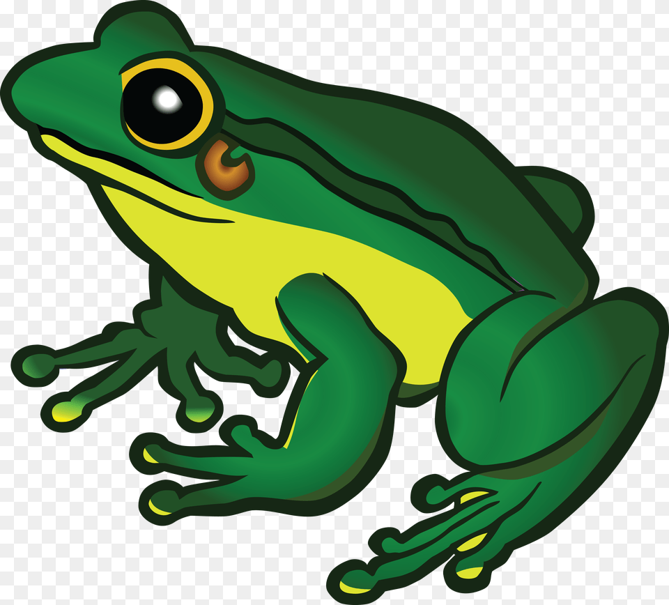 Clipart Of A Frog Frog Clipart Decor Home, Amphibian, Animal, Wildlife, Tree Frog Free Png