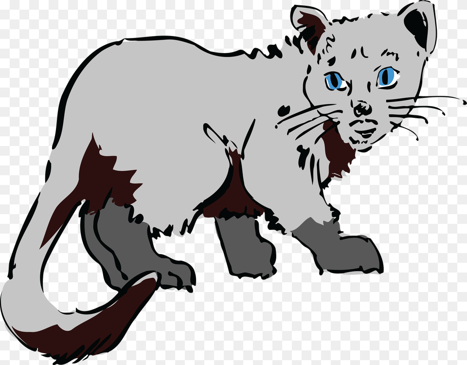 Free Clipart Of A Gray Cat Cat, Face, Head, Person, Baby Png