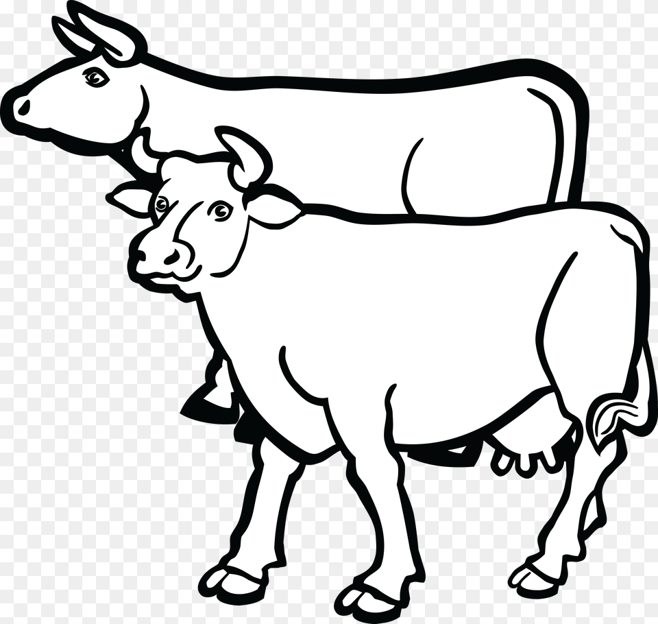 Free Clipart Of A Pair Of Cows, Animal, Bull, Mammal, Cattle Png Image